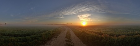 Morgens in den Rögnitzwiesen. ( 05.2020 )