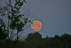 Vollmond ( 06.06.2020 )