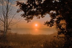 Morgens im Rögnitztal ( 08.06.2020 )