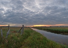 So nähe Lübtheen. ( 09.06.2020 )