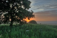 Morgens im Rögnitztal. ( 07.2020 )