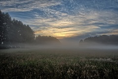 Morgens im Rögnitztal. ( 07.2020 )