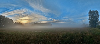 Nähe Neu-Lübtheen. ( 28.06.2020 )