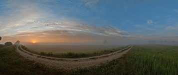 Morgens in den Rögnitzwiesen. ( 28.06.2020 )