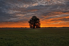 Ein Morgen im Rögnitztal ( 21.08.2020 )