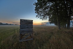 Ein Morgen nähe Lübtheen.( 29.08.2020 )