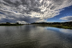 Die Elbe bei Herrenhof an der Elbe. ( 06.09.2020 )