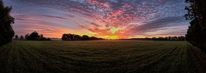 Morgens in Neu-Lübtheen. ( 13.09.2020 )