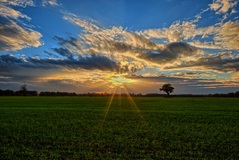 Ein Feld nähe Lübtheen. ( 27.10.2020 )