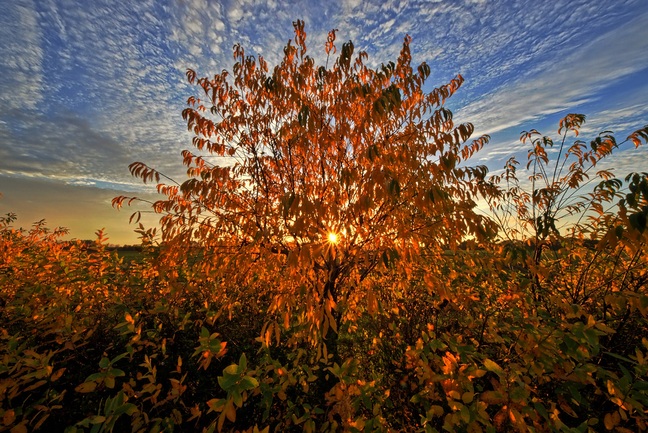 herbstzauber-kopie-1-kopie.jpg