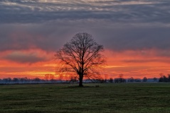 Morgens im Rögnitztal. ( 16.11.2020 )