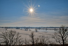 Die Elbe bei Rüterberg. ( 31.01.2021 )