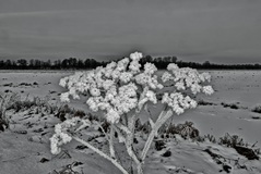 Bei Minus 19 Grad im einsatz. ( 14.02.2021 )