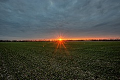 Einen Sonnenuntergang auf den Preisteracker ( 25.03.2021 )