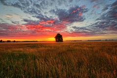 Ein Morgen nähe Lübtheen. ( 30.06.2022 )