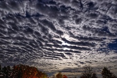 Der Preisteracker von Lübtheen