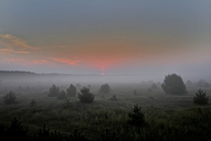 morgens-in-der-luebtheener-heide.jpg