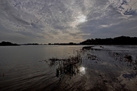 ein-blick-auf-die-elbe-02-11.jpg