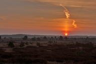 ein-morgen-in-der-luebtheener-heide-11-04.jpg