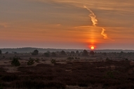 ein-morgen-in-der-luebtheener-heide-11-04.jpg