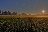 ein-rapsfeld-naehe-neu-luebtheen-am-morgen-02-05.jpg