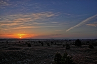 ein-morgen-in-der-luebtheener-heide-16-05.jpg