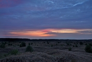 ein-morgen-in-der-luebtheener-heide-12-07-1.jpg