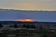 die-luebtheener-heide-am-morgen-31-07.jpg