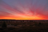 die-luebtheener-heide-am-morgen-01-08.jpg