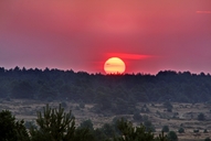 die-luebtheener-heide-am-morgen-07-08.jpg