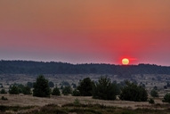 die-luebtheener-heide-am-morgen-07-08-1.jpg