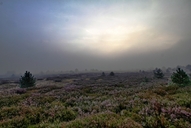 die-luebtheener-heide-am-morgen-16-08-1.jpg