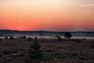 die-luebtheener-heide-1.jpg