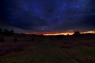 die-luebtheener-heide-19-09-1.jpg