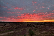 die-luebtheener-heide-19-09-2.jpg