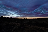 die-luebtheener-heide-19-09-4.jpg