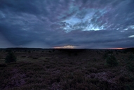 die-luebtheener-heide-am-morgen-abenteuerland.jpg