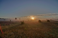 die-luebtheener-heide-am-morgen-25-09.jpg