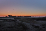 eine-blaue-stunde-an-der-elbe-11-10-1.jpg