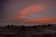 ein-morgen-in-der-leussower-heide-01-11.jpg