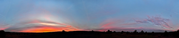 Die leusower Heide am Morgen