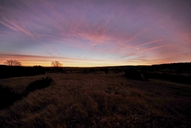 ein-morgen-in-der-leussower-heide-31-12-1.jpg