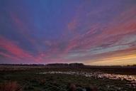 ein-morgen-in-den-roegnitzwiesen-27-03.jpg