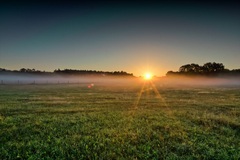 So mitten in Gudow nähe Lübtheen am Morgen.