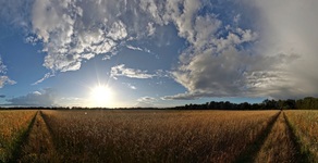 Ja so 180 Grad im Sichtfeld.Panoramafotos herzustellen und das vor der Haustür.(Der Schöpfer) 10.08.2016