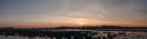 Ein Abend in den Rögnitzwiesen