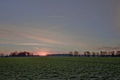 Nähe Lübtheen(26.02.2017)