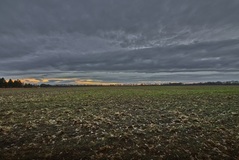 Der Preisteracker am (27.02.2017)