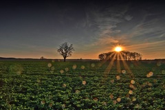 Nähe Briest bei Lübtheen.(24.03.2017)Ja HDR Fotos im Kontrast unschlagbar.Und die Punkte sind die Spiegelungen
der Linse.Keine Sternefilter oder sonn anderen Quatsch.Der Schöpfer