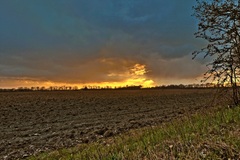 Nähe Mühlenweg von Lübtheen (05.04.2017)